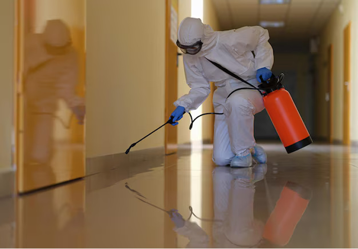 Preventative Treatments